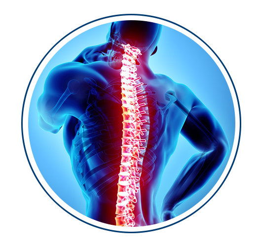 General Spine Procedures