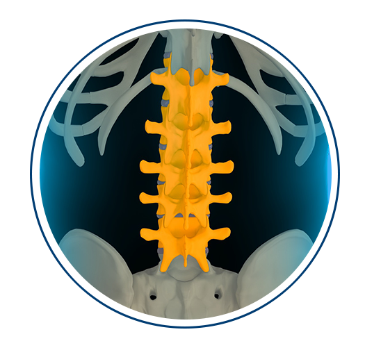Lumbar Spine (Lower Back) Procedures